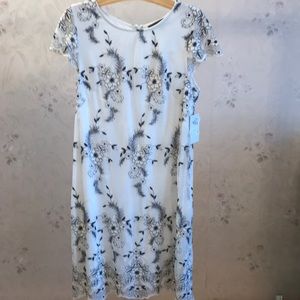 NWT Donna Ricco white/black lace dress size 14